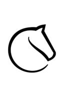 Lichess Esports