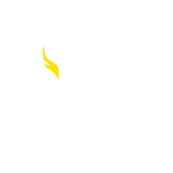 Shanghai Dragons